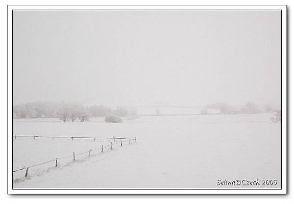 雪景1.jpg