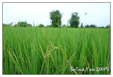 20090930-countryside.jpg 20090930-countryside.jpg