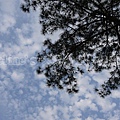 22. 南庄的天空~離開時，我拿起相機往我最喜愛的天空按下快門 意外的一幅美景就攝入我的相片中.jpg