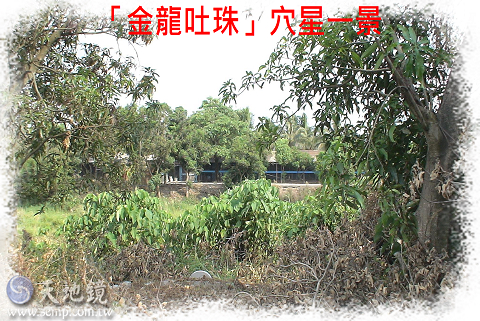 金龍穴星