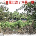 金龍穴星