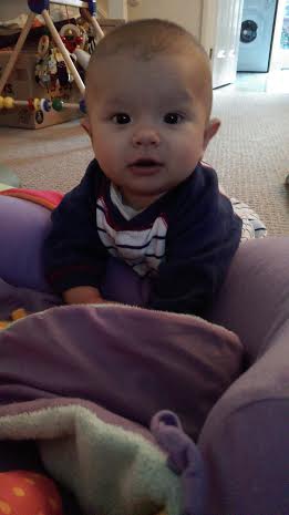 Alfie lies on the belly Alfie lies on the belly