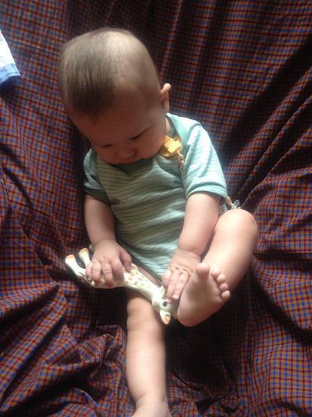 IMG_2253_2 IMG_2253_2