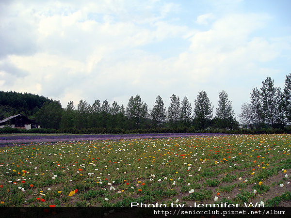 富良野_Blog (34).jpg