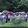 2011 福山植物園_05.JPG