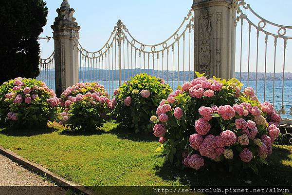 2011_土耳其 朵瑪巴切宮 Dolmabahce blog (20)_調整大小.JPG