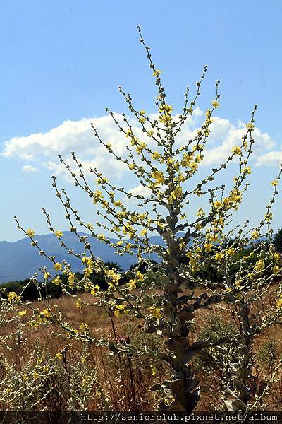 2011_土耳其-阿芙羅迪亞斯Aphrodisias blog (190).jpg