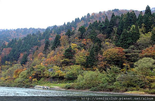 2011 Nov 7 最上川舟唄_94_調整大小.JPG