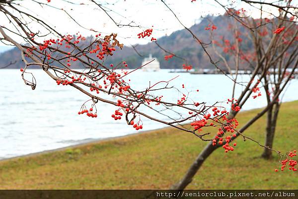 Nov 9 十和田湖 (213)_調整大小.JPG