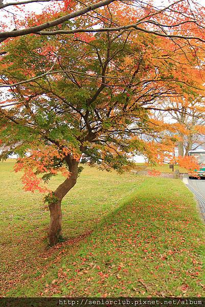 Nov 9 十和田湖 (112)_調整大小.JPG