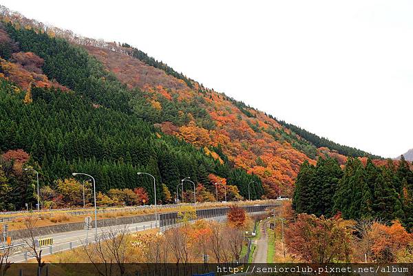 Nov 9 十和田湖 (49)_調整大小.JPG