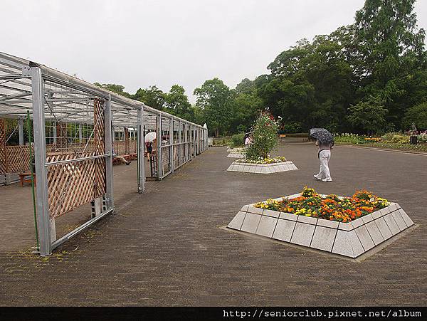 2012 京都植物園_14_調整大小