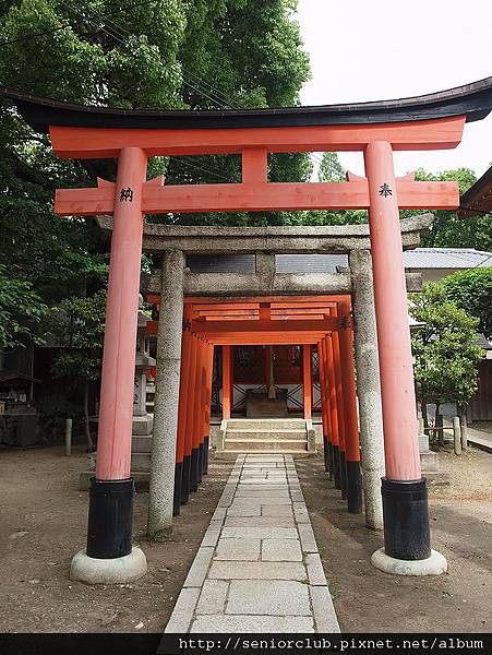 2010 京都藤森神社 (0071)_調整大小