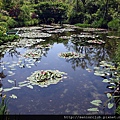 2010 比叡山山頂花園 (015)_調整大小