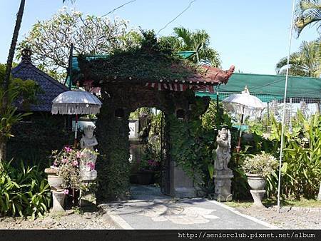 2014 Auguest bali orchid garden (218)