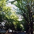 2009 北海道大學 (161).jpg