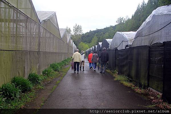 2011 梅峰溫室花園_53_調整大小.JPG