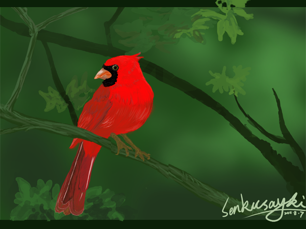 20110807-angry bird-s.png