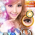 AllinEye沃爾愛-Ice Flower冰花       棕色    0 - 800度	14.5mm	38%	年拋