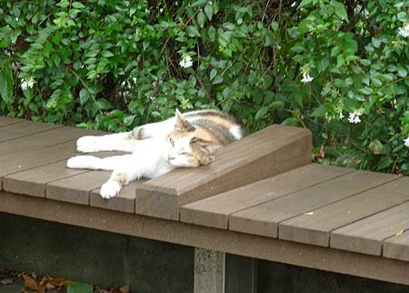 2011TYO255.jpg 2011TYO255.jpg
