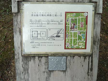 限定活動 限定活動