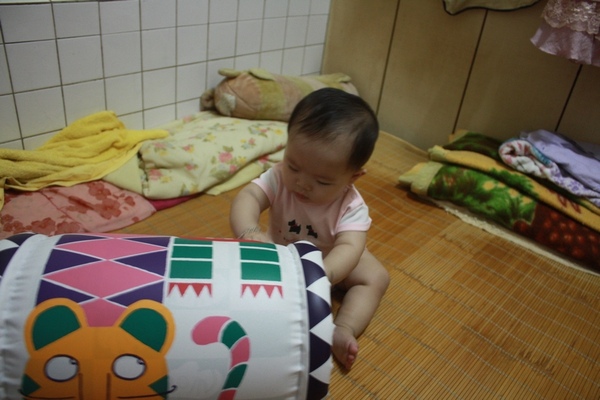 IMG_2567.jpg