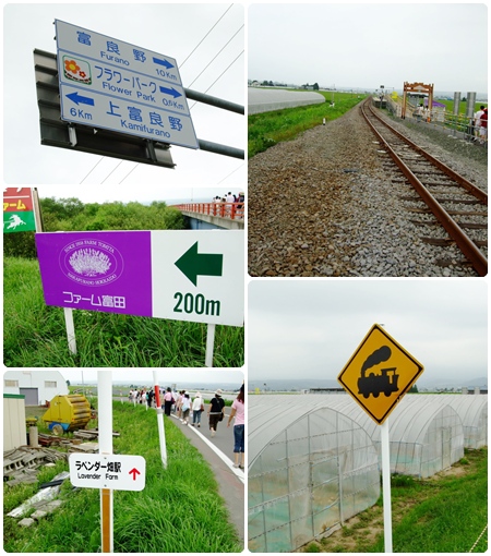 北海道之旅- (49).jpg