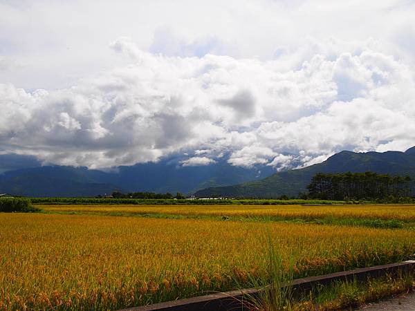 花蓮山水- (6).JPG 花蓮山水- (6).JPG
