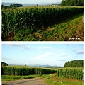 北海道之旅- (124).jpg