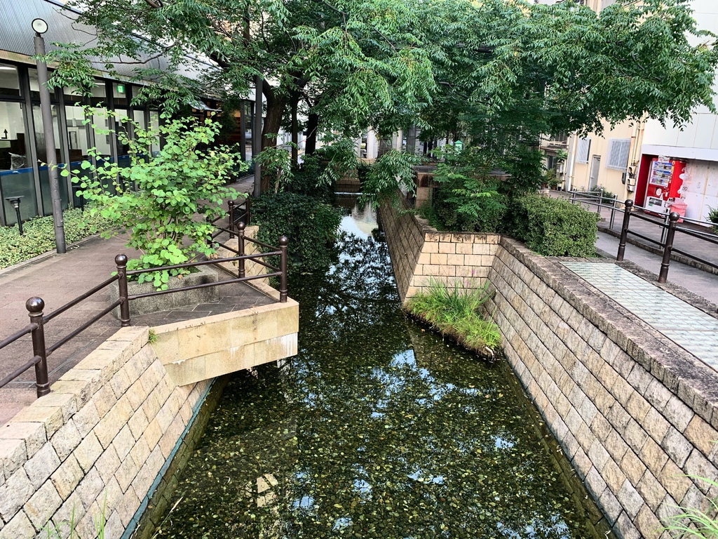 Japan 京都生活日誌 四國三縣 高知篇 播磨屋橋 高知車站 麵包超人的故鄉 我的世界 來自於無限城市的串連 僕の世界は広大な風景が無限に繋いで築くこと