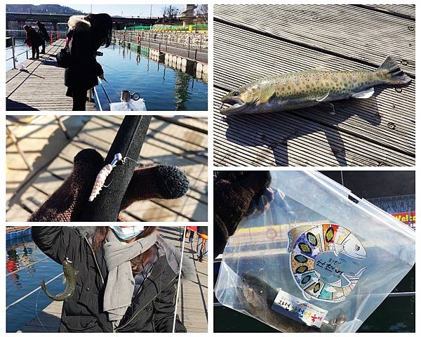 光影魔术手拼图4.jpg 光影魔术手拼图4.jpg