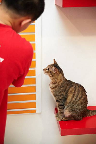 DSC_5782.jpg DSC_5782.jpg