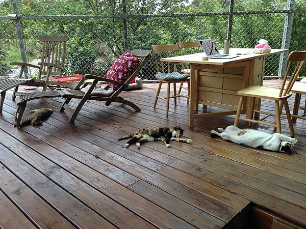 IMG_2144.JPG IMG_2144.JPG