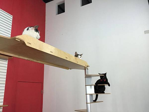 IMG_1283 IMG_1283