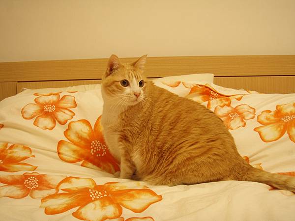2007-1.JPG 2007-1.JPG