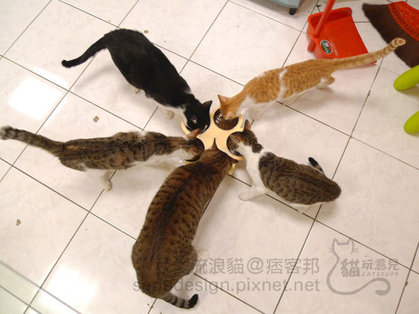 cat_bowl_holder_C-4.jpg cat_bowl_holder_C-4.jpg