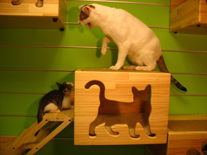 IMG_3999.jpg IMG_3999.jpg
