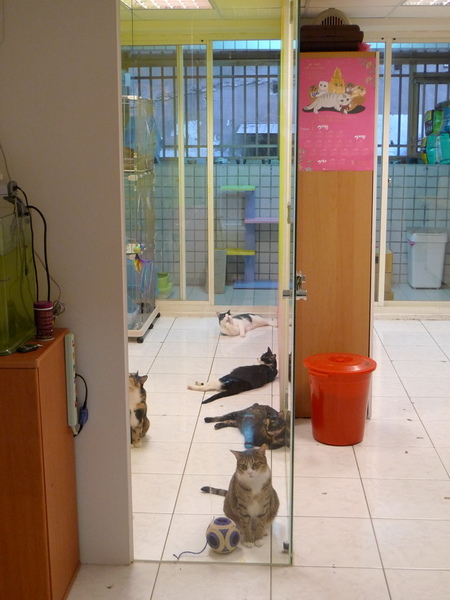 P1010175-小.jpg P1010175-小.jpg