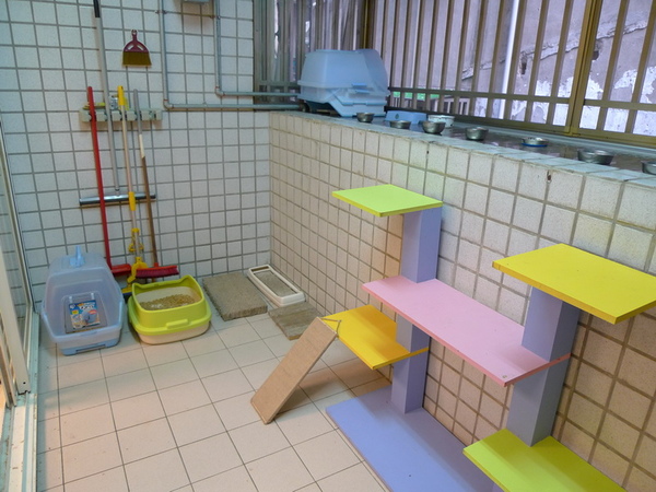 P1010204-小.jpg P1010204-小.jpg