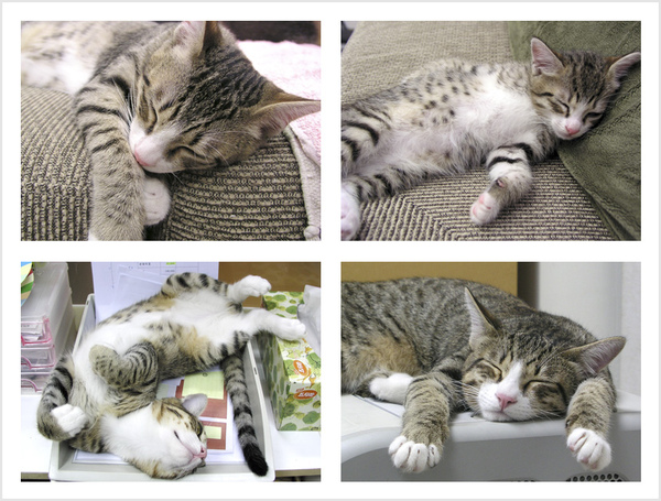 set-3.jpg set-3.jpg