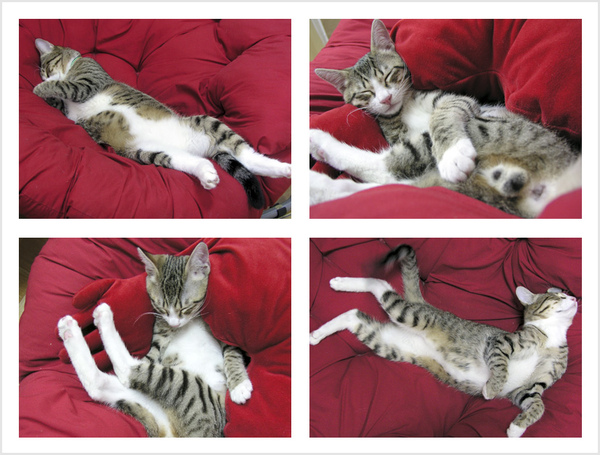 set-4.jpg set-4.jpg
