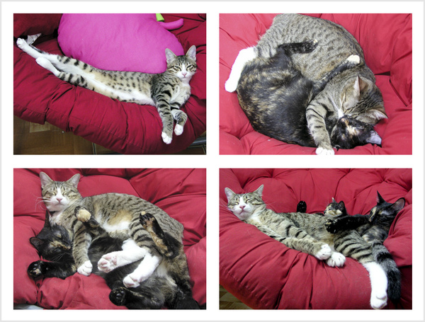 set-5.jpg set-5.jpg