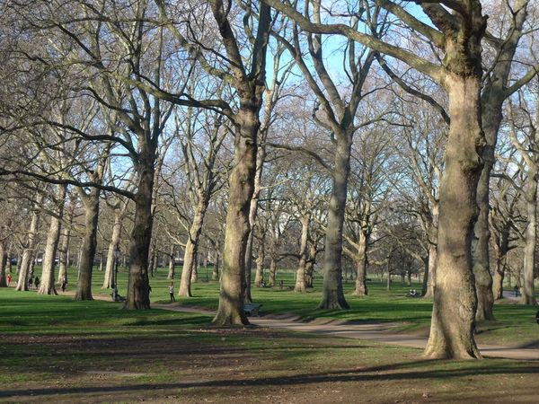 P1050043.JPG P1050043.JPG