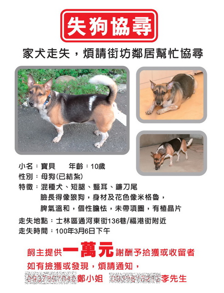 輸出-A4協尋海報.jpg 輸出-A4協尋海報.jpg