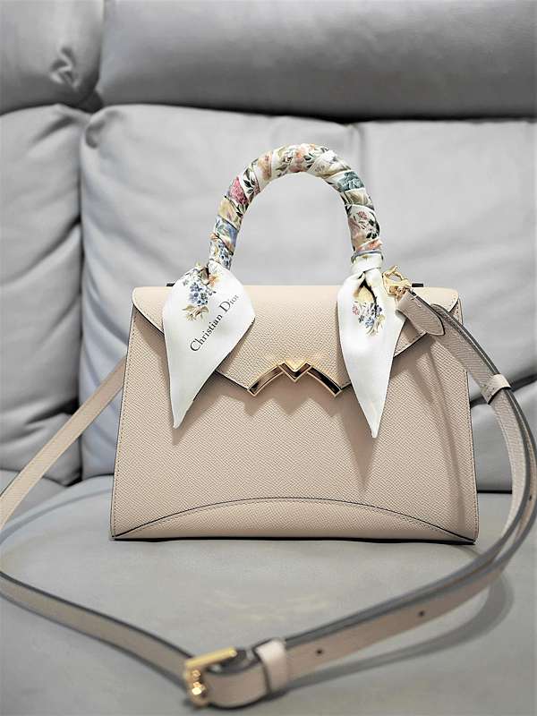 Moynat Gabrielle Powder PM size Dior ARDIN D