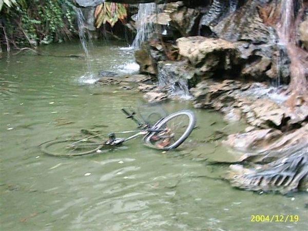 湖裡有腳踏車真的很好笑