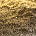 貝殼砂