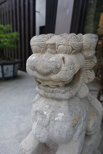 DSC04537.JPG DSC04537.JPG