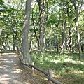 井之頭公園森林小徑