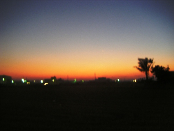 DSCF1995.JPG
